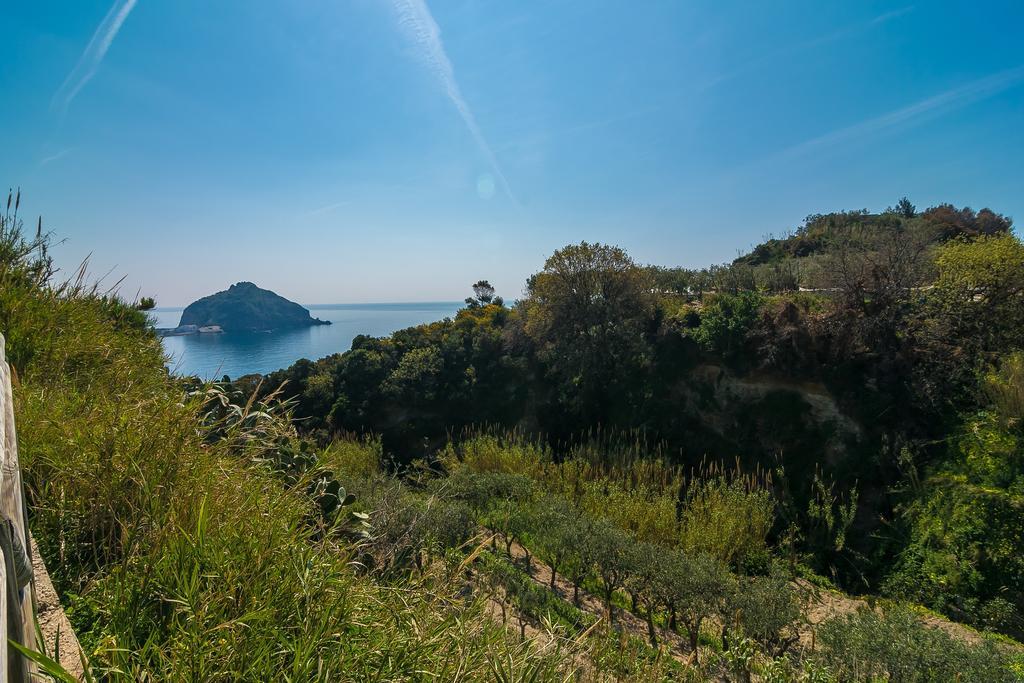 Hotel Villa Fumerie Forio di Ischia Eksteriør billede