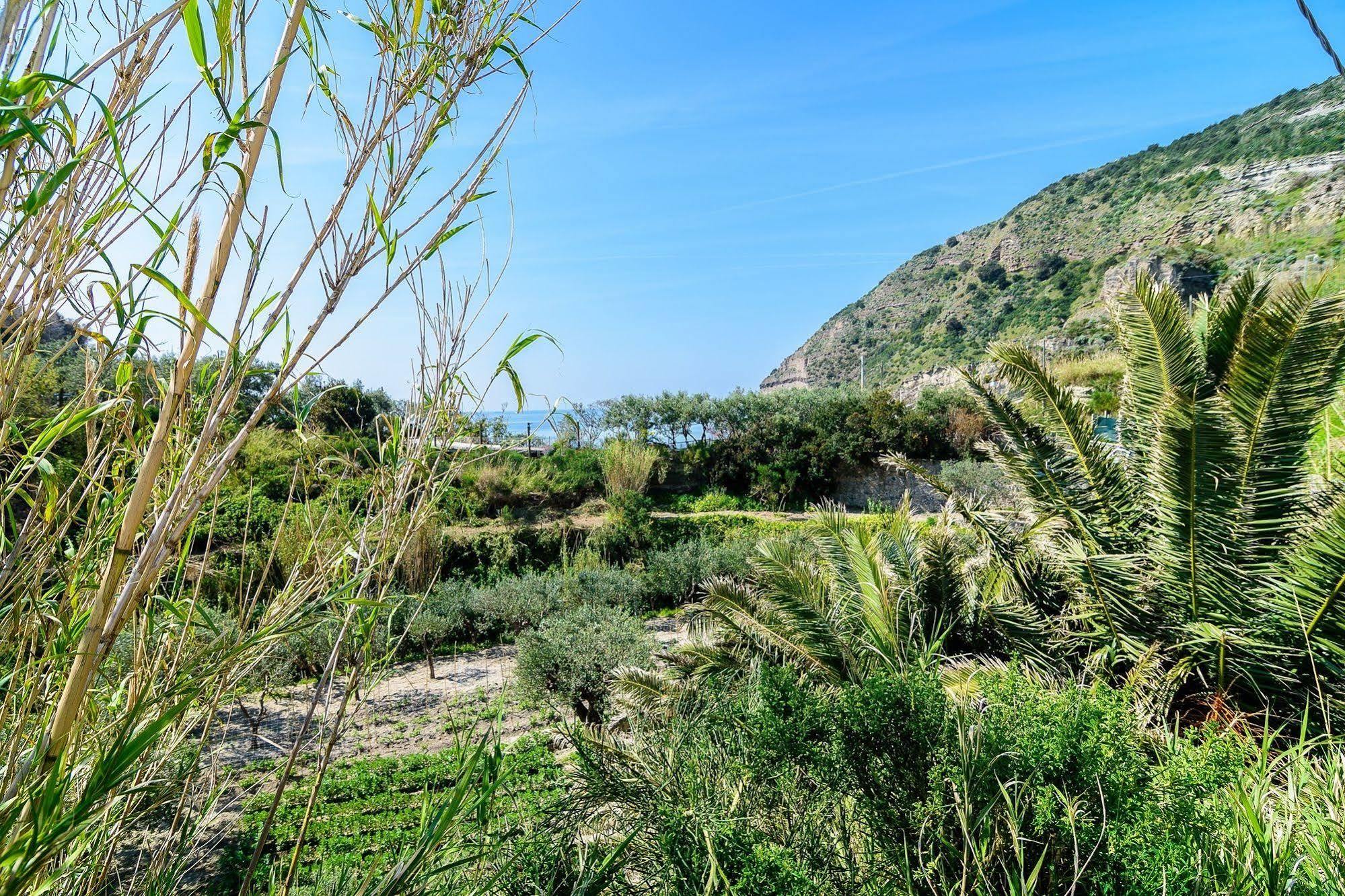 Hotel Villa Fumerie Forio di Ischia Eksteriør billede