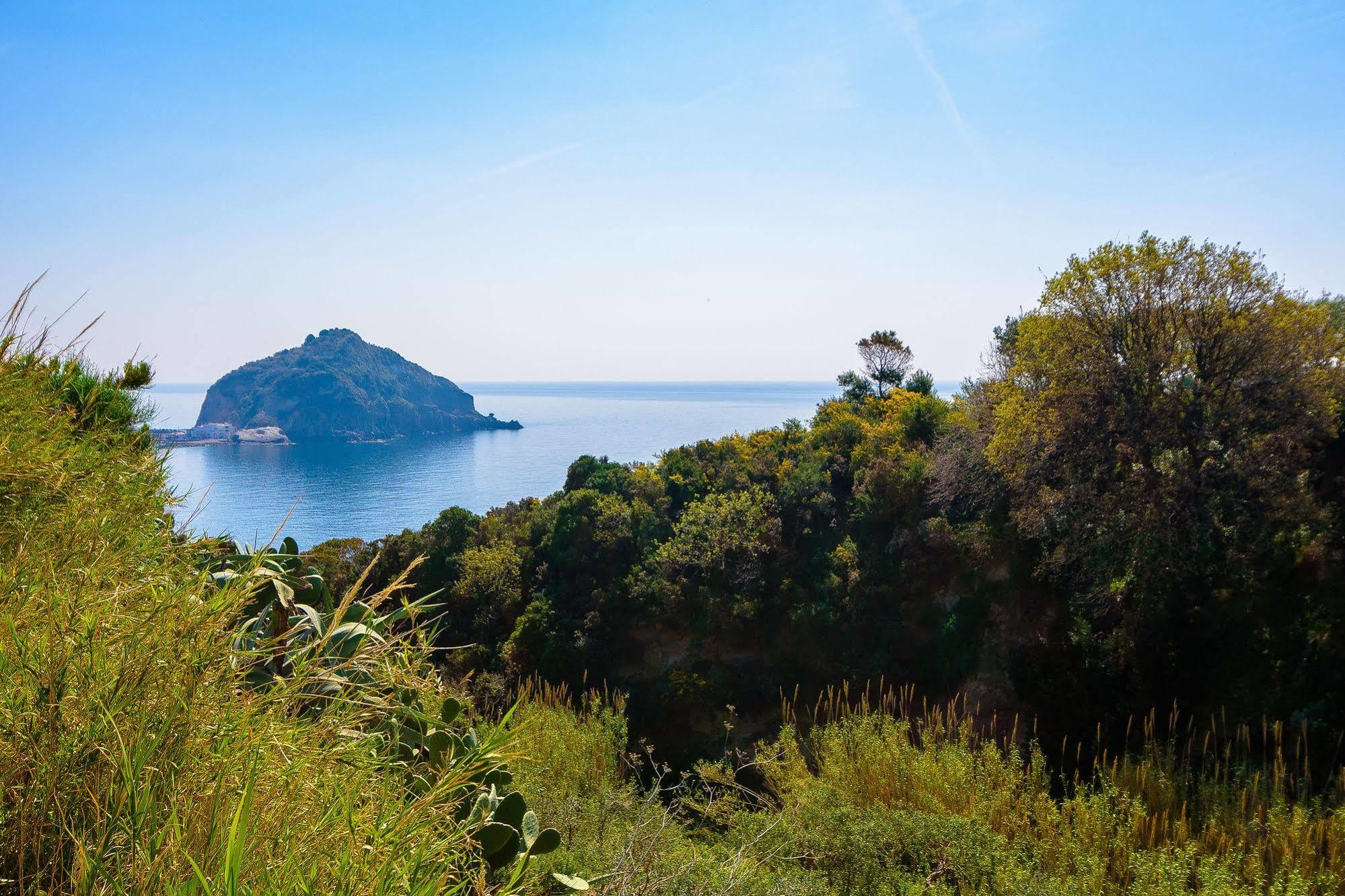 Hotel Villa Fumerie Forio di Ischia Eksteriør billede